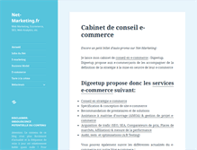 Tablet Screenshot of net-marketing.fr
